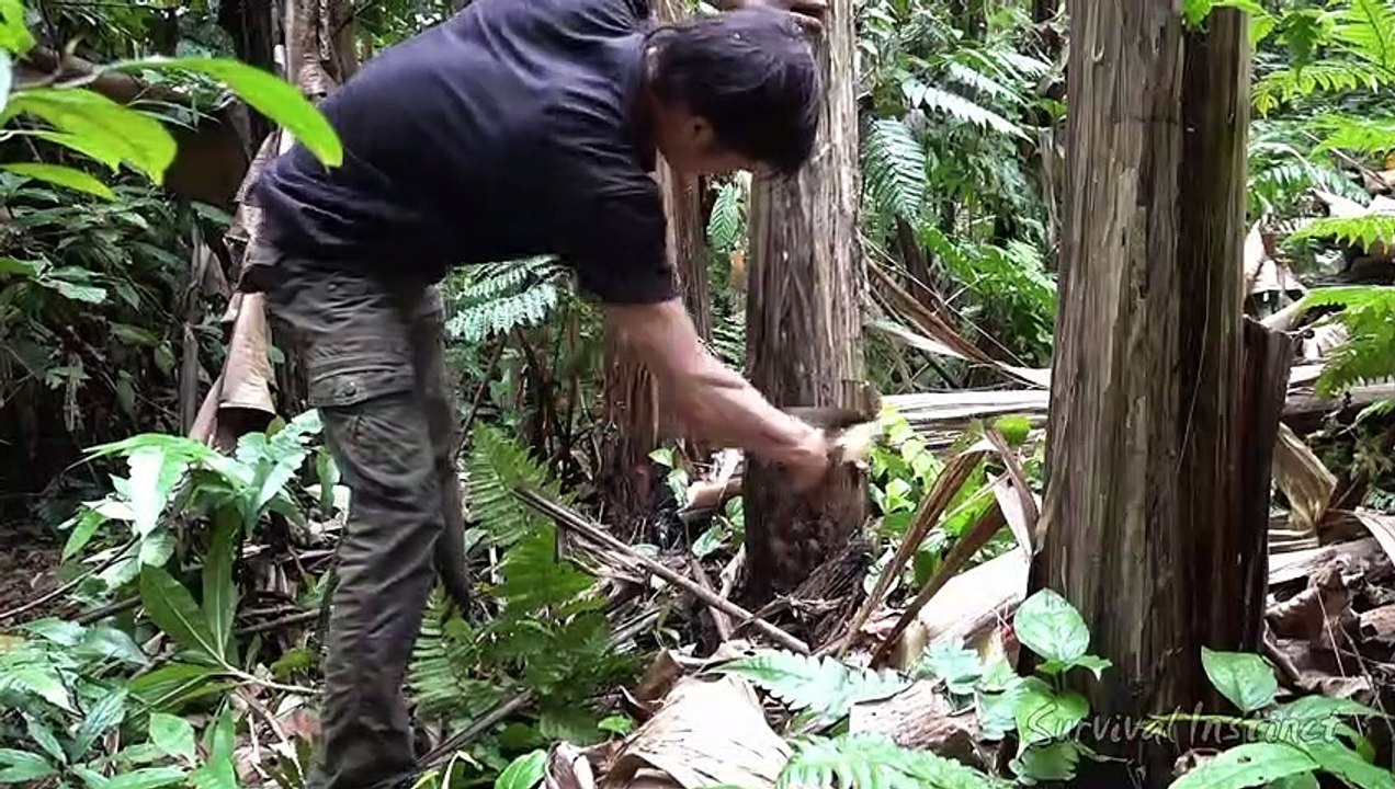 Ideal Shelter, Survival in the tropical Rainforest, ep 20