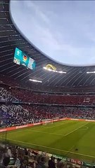 Les images de l'ulm de greenpeace qui se crash pendant le match france-allemagne