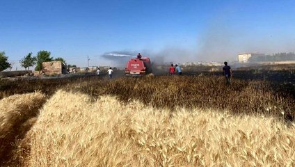 Buğdayın yandığını gören mahalleli tarlaya koştu