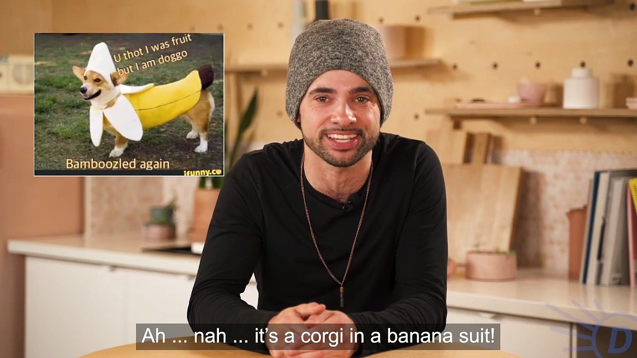 What Is The Origin Of The Word "Bamboozled"? video Dailymotion