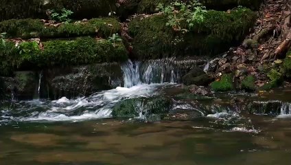 Relaxing Sleep Music _ Deep Sleeping Music _ Stress Relief _ Meditation Music( Flying)