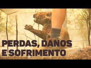 Entenda os impactos do fogo na Austrália