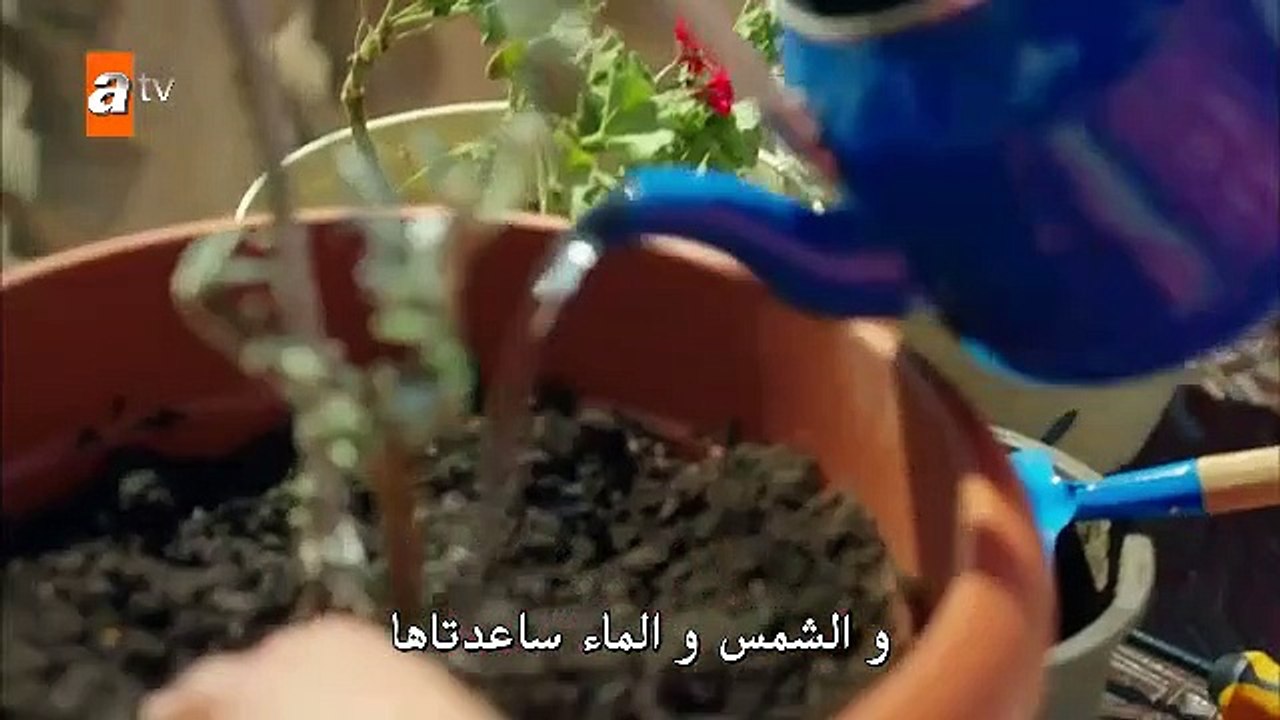 مسلسل زهرة الثالوث الموسم الثالث حلقة 41 مترجمة...