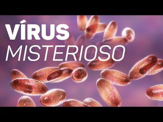 Doença desconhecida preocupa médicos e autoridades na China