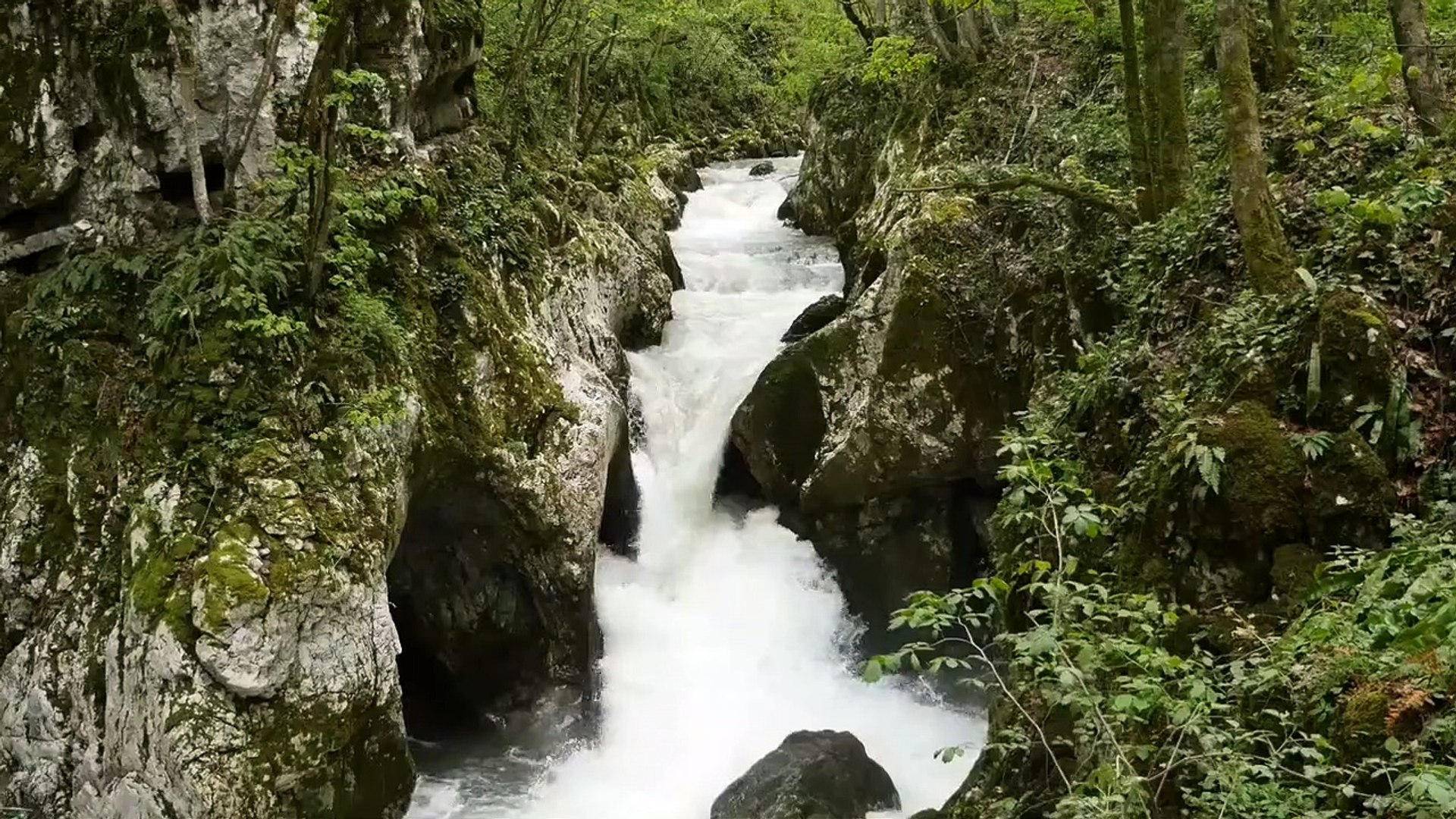 ⁣Nature Sounds-Relaxing Meditation-Birds sound-Calming-Water falling sound effect-Relax mind and body