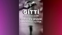 Gürsel İleri - Gitti & Aydoğan Tayfur (Şarkı) Nereden Sevdim