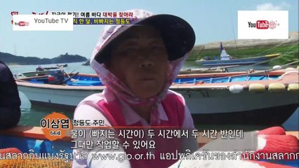 ความลับแห่งเอเชีย ชุด New Korea Hunter ตอน ขุมทรัพย์จากธรรมชาติที่เกาะเกาหลี