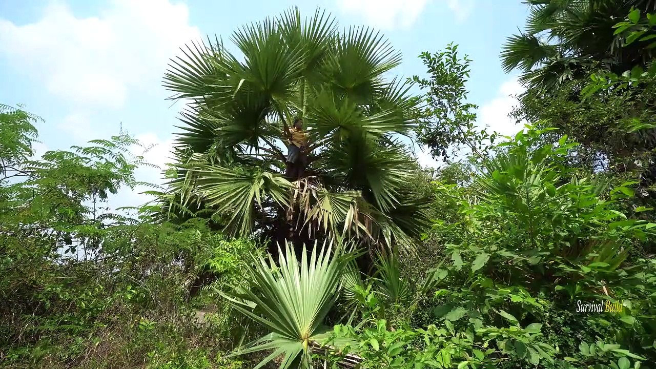 Build The Most Beautiful Tree House Villa Bath Pool And Kitchen House