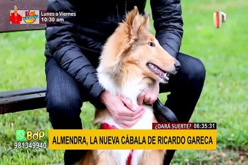 “Almendra”, conozca la nueva cábala del ‘profe’ Gareca