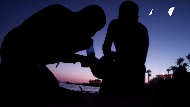 Primeiros socorros salvam tartaruga