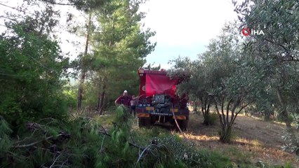 Osmaniye’de orman yangını büyümeden söndürüldü