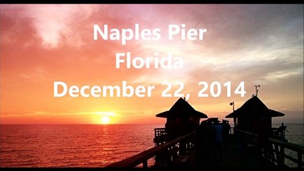 Huge Goliath Grouper Caught at Fishing Pier