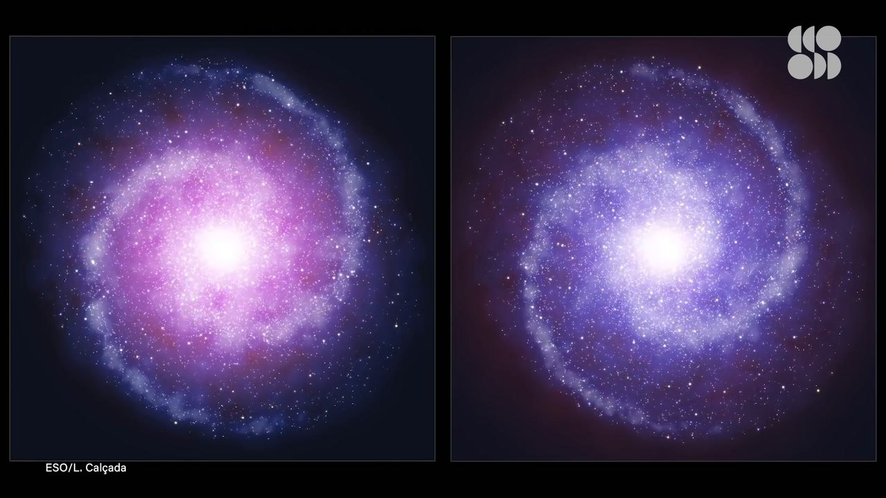 Our Universe May Be Full of Massive Dark Matter Stars