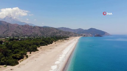 Antalya'da 2020 yılında  4 bin 853 yuvadan 204 bin 591 yavru  caretta denizle buluşturuldu