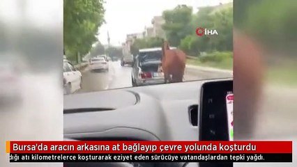 Bursa'da aracın arkasına at bağlayıp çevre yolunda koşturdular