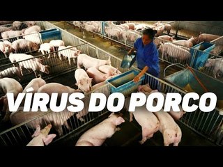 O que se sabe até agora sobre o novo vírus encontrado na China com potencial pandêmico