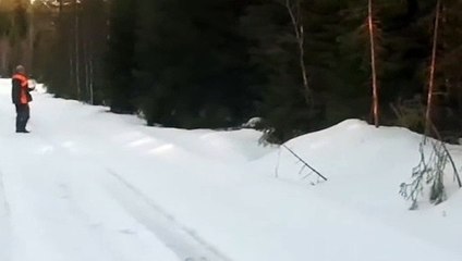 Karşısına çıkan ayıdan bakın nasıl kurtuldu