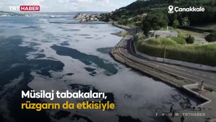 Çanakkale kıyıları müsilajla kaplandı