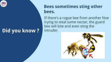 Did you know ((Random Facts So Interesting (Part 2) mindlevel360