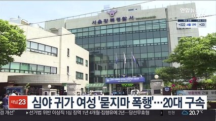심야 귀가 여성 '묻지마 폭행'…20대 남성 구속