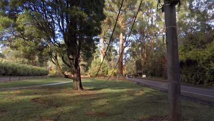 Thousands of Victorians told to prepare to be without power for three weeks