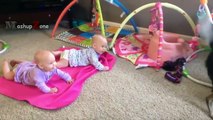 Twin Babies - Best Videos Of Cute Twin Babies And Funny Twin Babies Compilation || Baby Videos