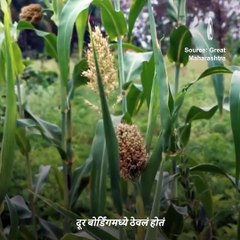 When Arundhati And Gauri Sang, ‘Kausalyacha Ram’