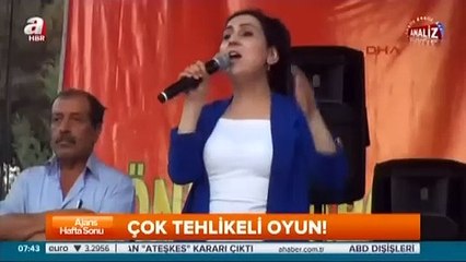 CHP'li vekil terör örgütü PYD'yi savundu!