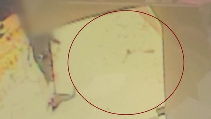 [앵커리포트] "하늘에서 킥보드가"...'낙하물' 피해 막으려면? / YTN