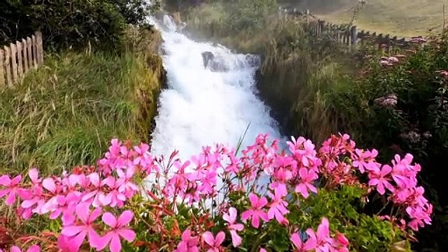 Psalm 33 Hymn 'Rejoice in the Lord, oh you righteous' #PsalmHymns #ChristianMusic #BibleSongs