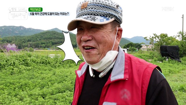 6월 쑥이 건강에 도움이 되는 이유는?? ˘ᗜ˘