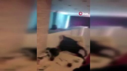 Avcılar’da sanal tombala oynatan iş yerine ikinci baskın