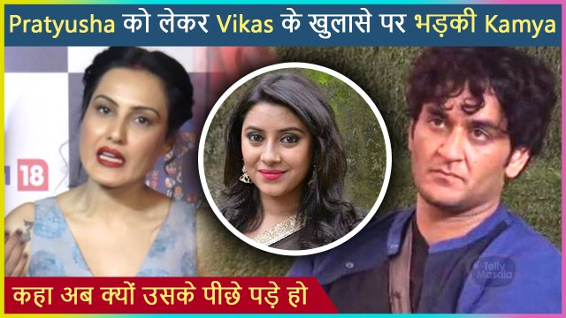 Kamya Panjabi Taunts Vikas Gupta For Commenting on Pratyusha Banerjee