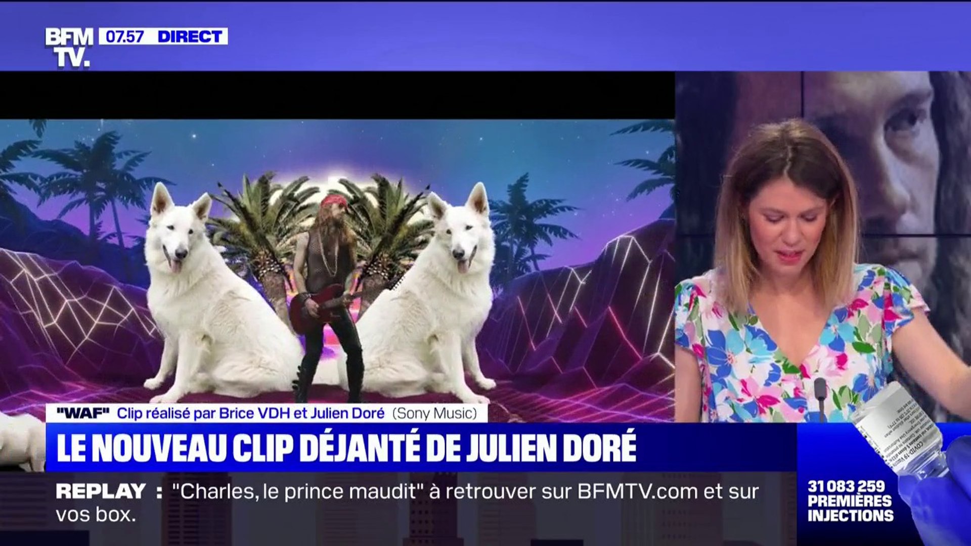 Les chiens de Julien Doré, stars du clip de sa nouvelle chanson "Waf" -  Vidéo Dailymotion