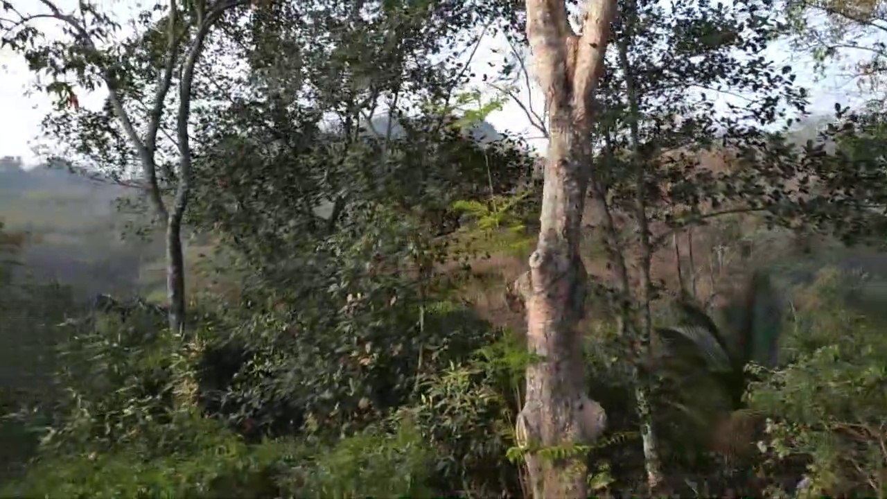 Meghla, Bandarban | মেঘলা (ঝুলন্তসেতু) বান্দরবন ভ্রমণ