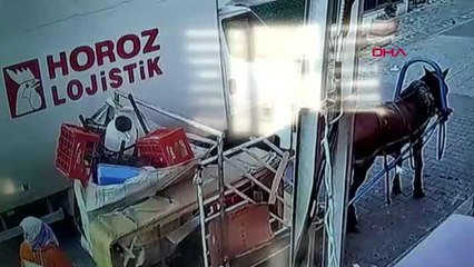 İSTANBUL ? AVCILAR'DA AT ARABALI HIRSIZLAR KAMERADA