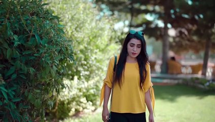 Aimal Amini - Musafer Official Video Music