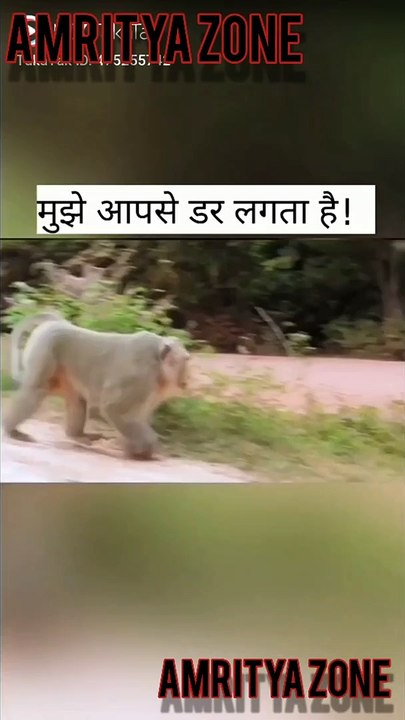 #short video viral New WhatsApp status video shot put video analysis, music video shot by iphone, video shot by iphone, b 17 shot down video, fbg duck video shot dead, nipsey hussle video shot dead, dhoni helicopter shot hd video, shot on iphone video