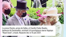 La princesse Anne et Camilla Parker Bowles réunies au Royal Ascot : elles retrouvent leur ex !