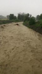 Samsun'da aracın sele kapıldığı anlar kamerada