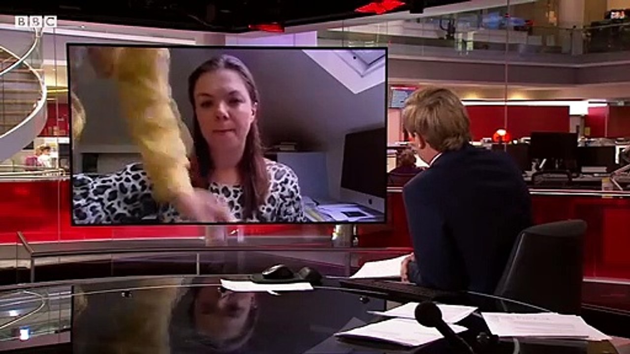 Child Interrupts Bbc News Interview - Bbc News