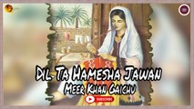 Dil Ta Hamesha Jawan | Meer Khan Gaichu | Sindhi Song | Sindhi Gaana