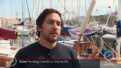 Corse : pour sauver les posidonies, le mouillage interdit aux yachts