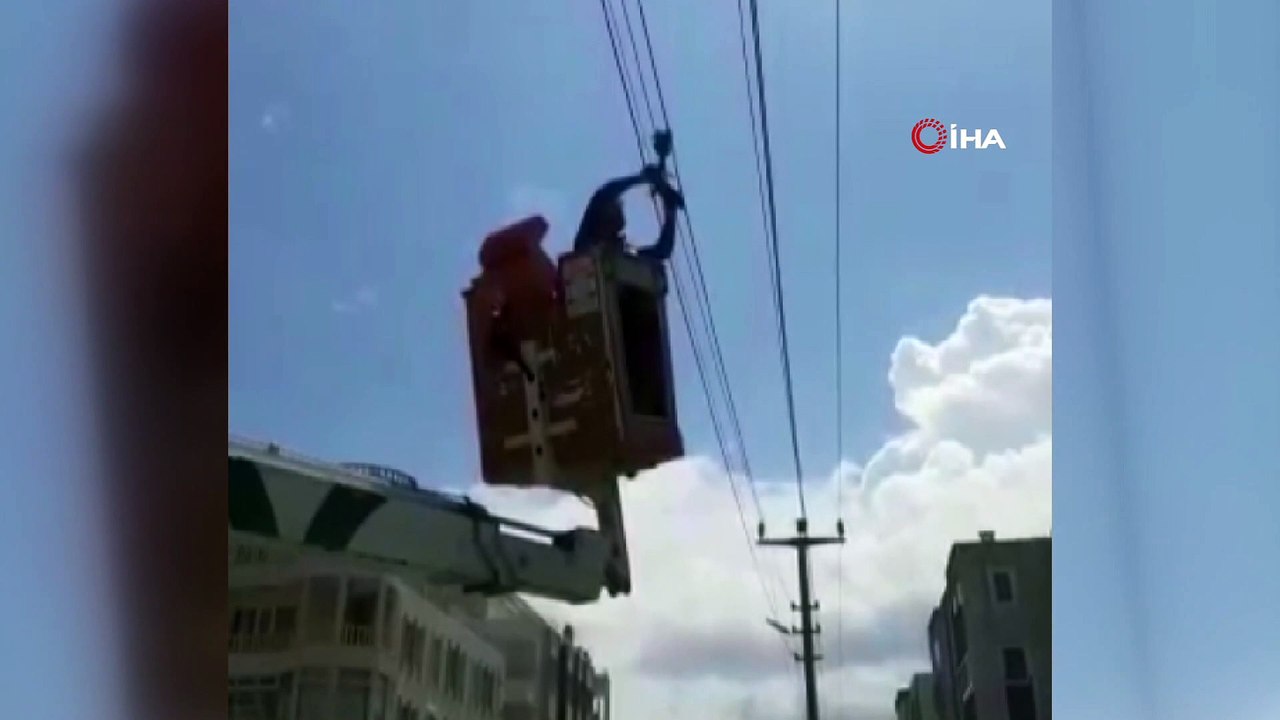 Yalova’da karga kurtarma operasyonu