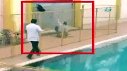 Okulda leopar dehşeti