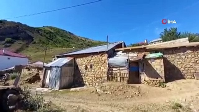 Kümeslere dadanan ayılar, tavukları telef etti