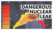 Radiation Leak at China's Taishan Nuclear Plant