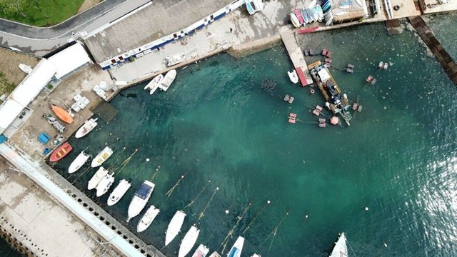 Caddebostan'da yağmur sonrası müsilaj yoğunluğu azaldı