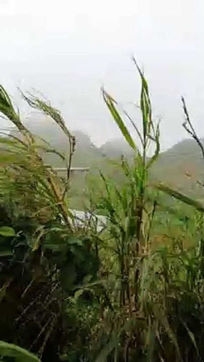 Subrang hangin