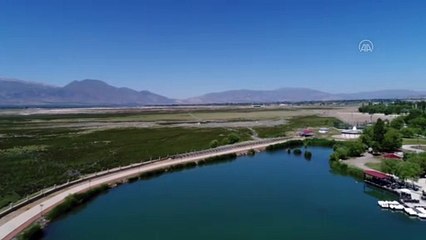 ERZİNCAN - Sivrisineklere karşı drone ile ilaçlama başlatıldı